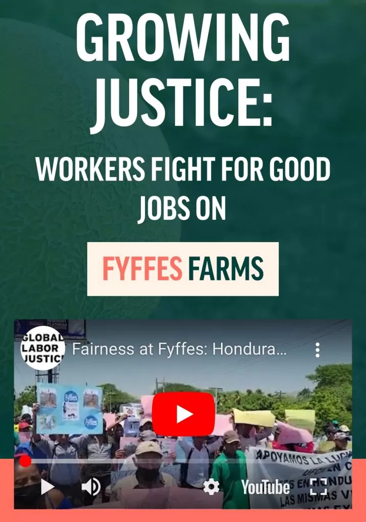 Featured image for - Honduras: Fyffes fight gains momentum with new report and campaign website